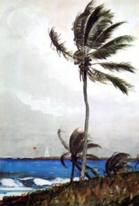 Palmier, Nassau de Winslow Homer