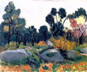 Rochers dans la vallée des loups par Henri matisse
