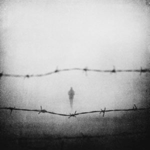 Photo de Zewar Fadhil