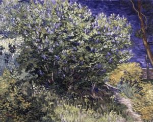 Buisson de lilas de Vincent van Gogh