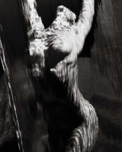 Photo de Herb Ritts