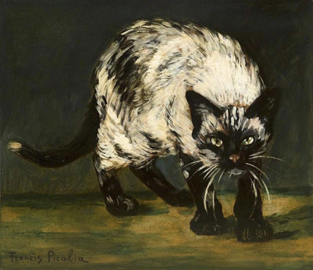 Le chat de Francis Picabia
