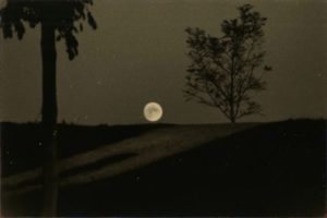 Masao Yamamoto