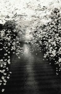 Photo de Masao Yamamoto