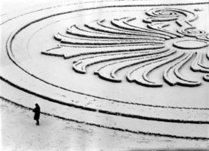 Fleur de neige par Robert Doisneau