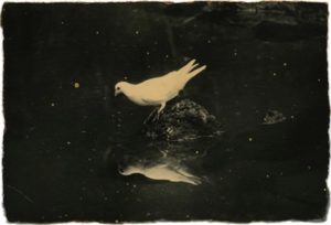Photo de Masao Yamamoto