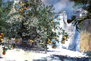 Oranger à Nassau de Winslow Homer