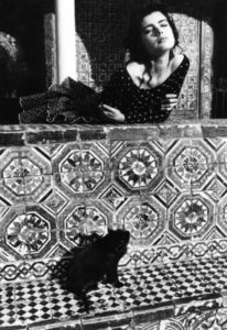 Photo de Ferdinando Scianna