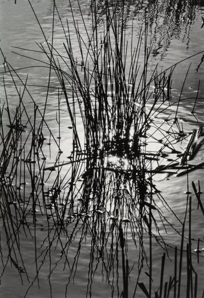 Photo de Lucien Clergue