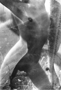 Coco au grand herbier de Lucien Clergue