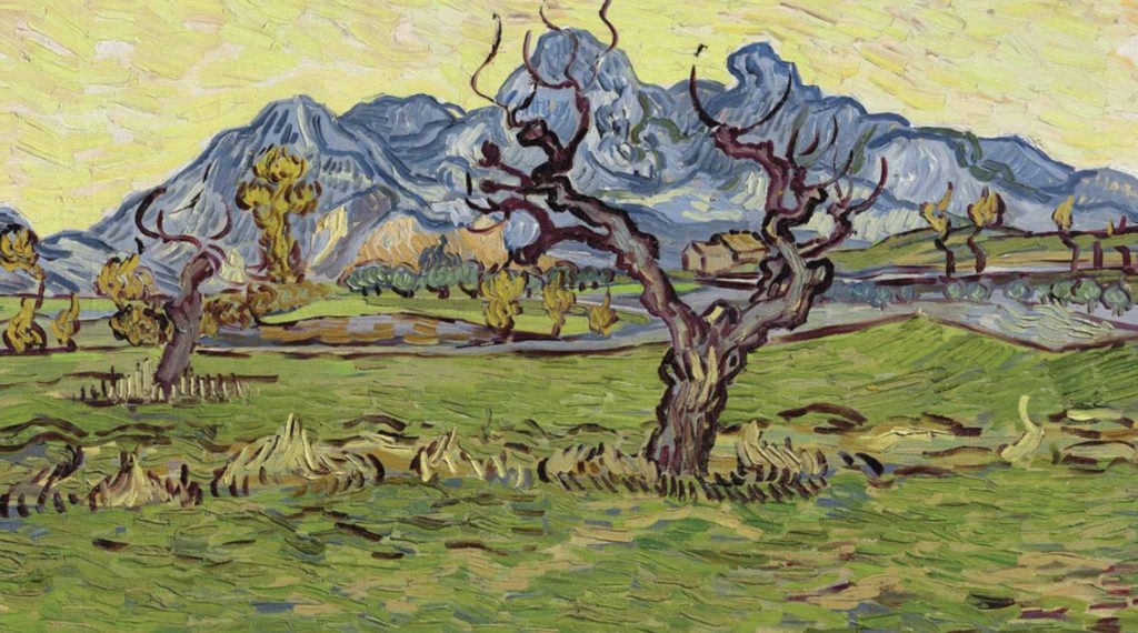 Champ près des Alpilles de Vincent Van Gogh 