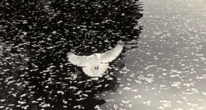 Photo de Yamamoto Masao