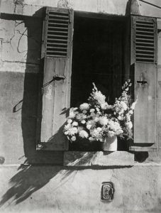 Le bouquet blanc, photo de Brassaï