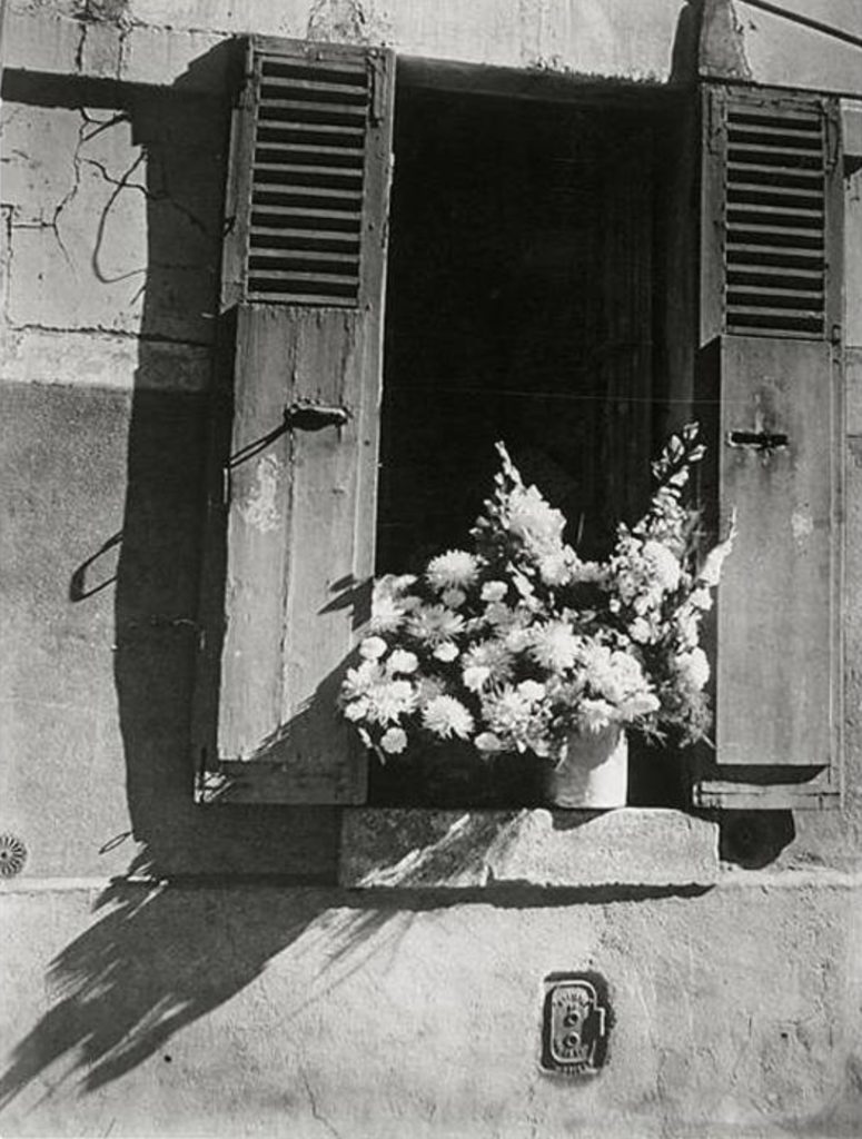 Le bouquet blanc, photo de Brassaï 