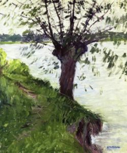 Saule sur les bords de Seine, tableau de Gustave Caillebotte