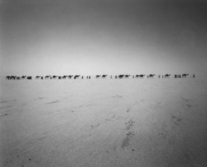 Désert du Ténéré, photo de Raymond Depardon