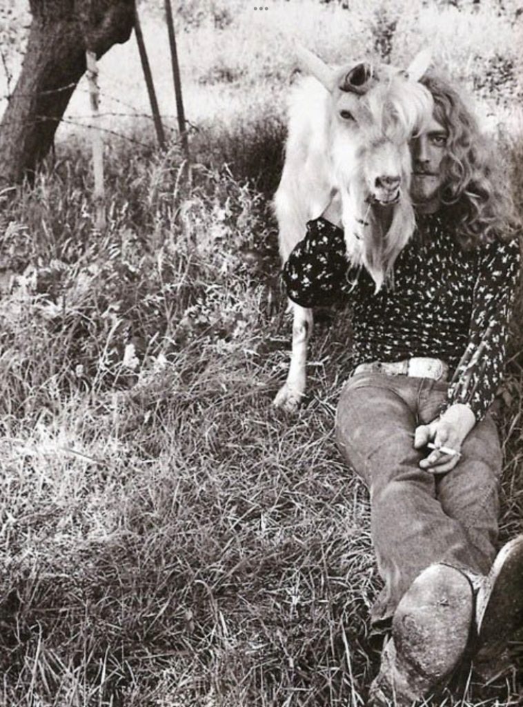 Robert Plant et sa chèvre