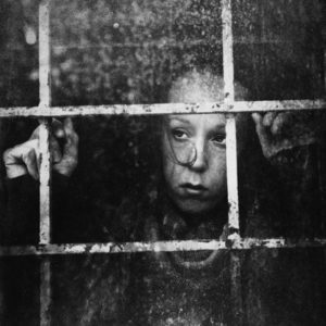 Photo de Zewar Fadhil