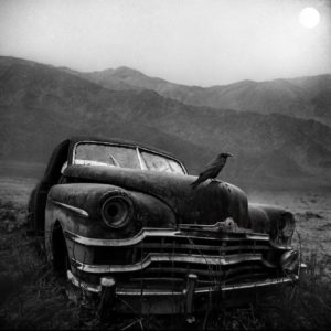 Photo de Zewar Fadhil