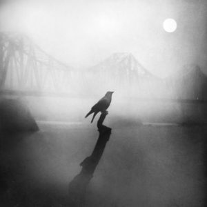 Photo de Zewar Fadhil