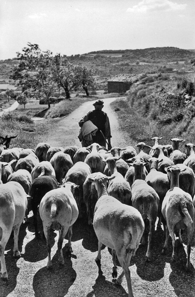Pastorale en Provence par Hans Silvester 