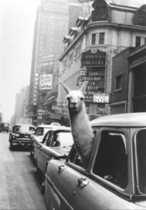 Photo d’Inge Morath