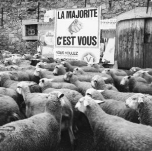 Photo de René Maltête