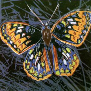 Butterfly par Andy Warhol