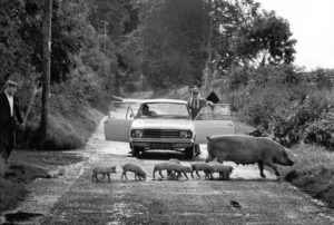 Irlande, photo d’Elliott Erwitt