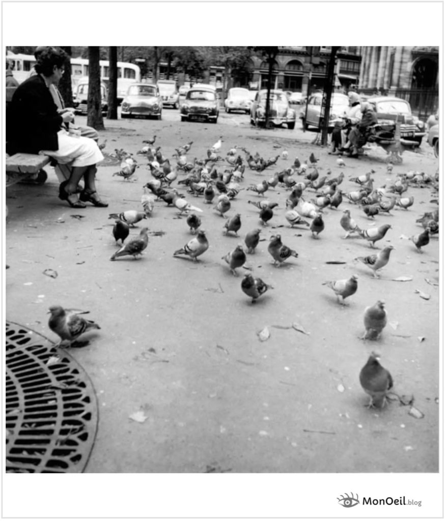 Pigeons à Paris, photo d’Imogen Cunningham