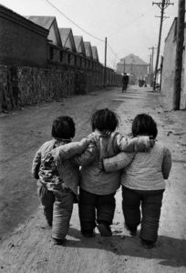 Les trois ourses par Marc Riboud