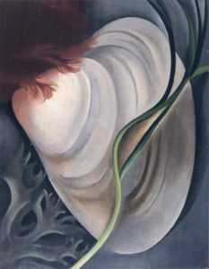 Coquillage n°2 par Georgia O’Keeffe