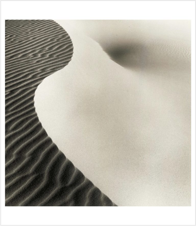 Dune II (2004), photo de Tim Hall