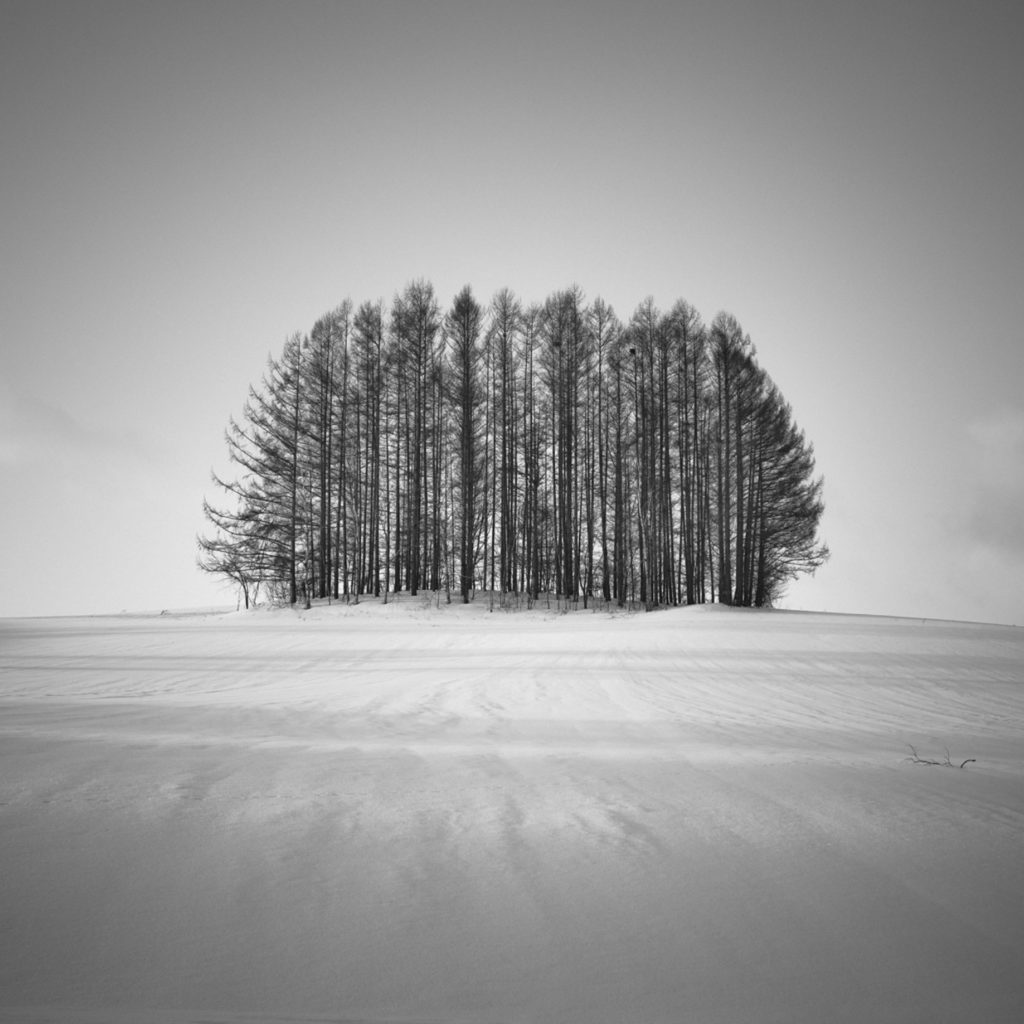 Rêve d’hiver, photo de Hengki Koentjoro