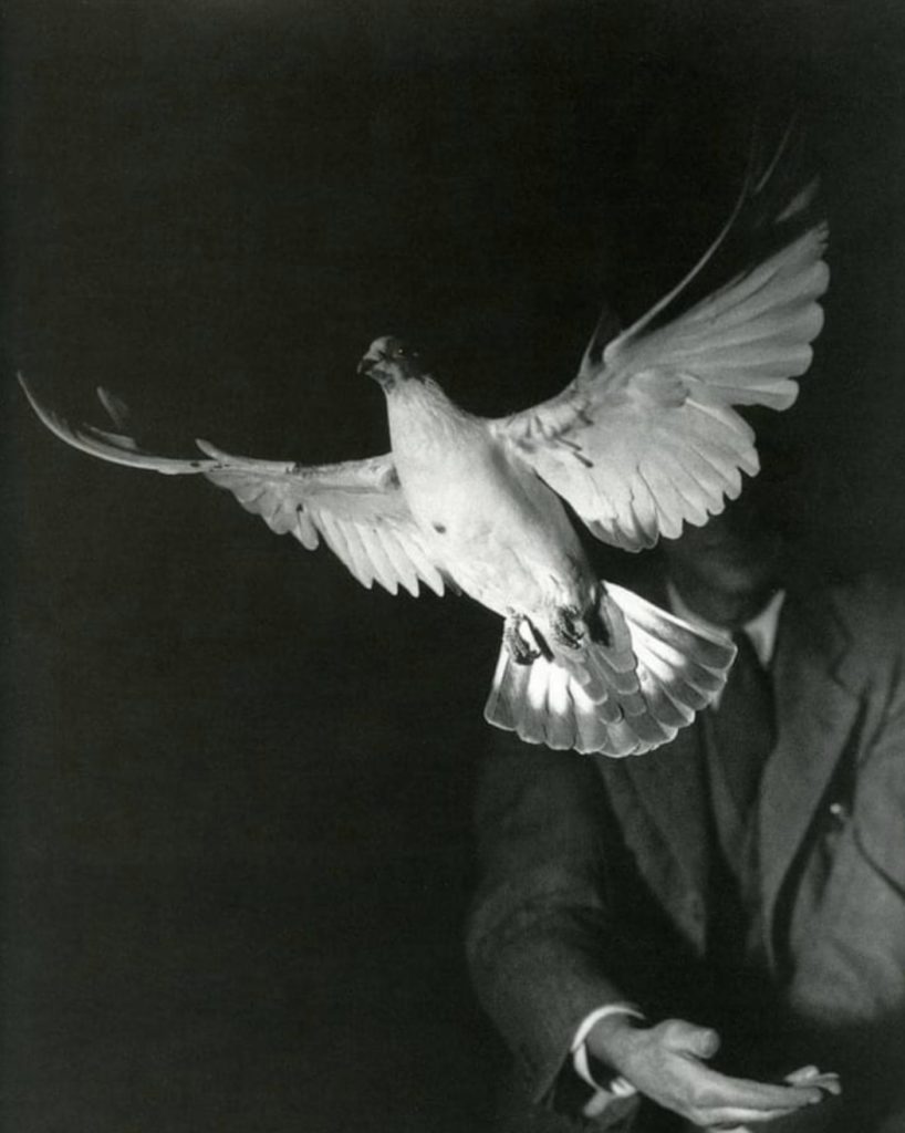 L’envol de la colombe, photo Harold Eugene Edgerton