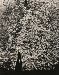 Photo de Masao Yamamoto