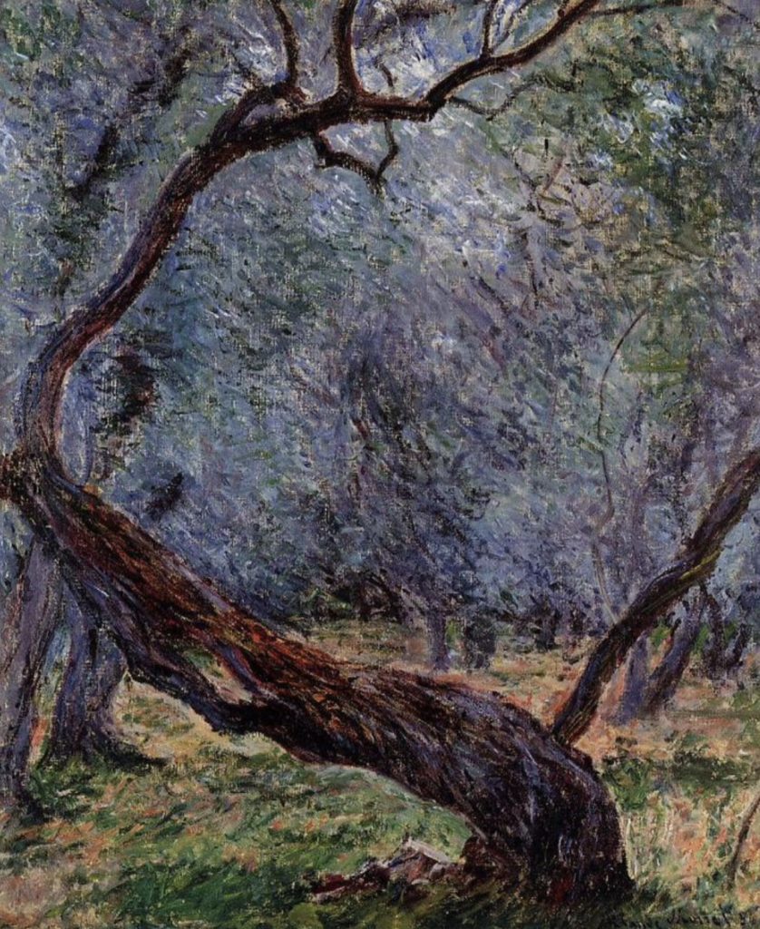 Étude d’oliviers de Claude Monet