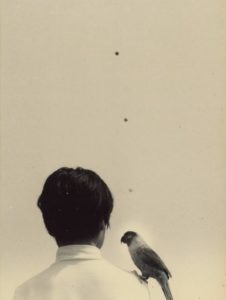 Photo de Masao Yamamoto