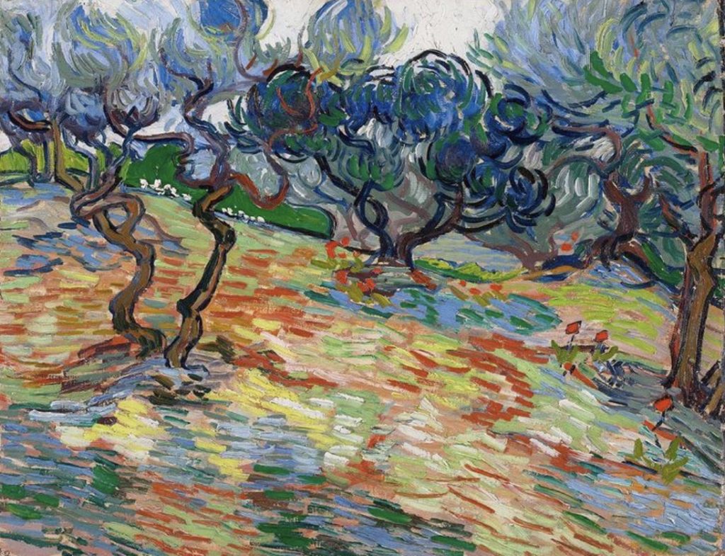 Oliviers par Vincent van Gogh
