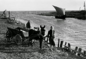 Photo de la série Danube Revisité par Inge Morath