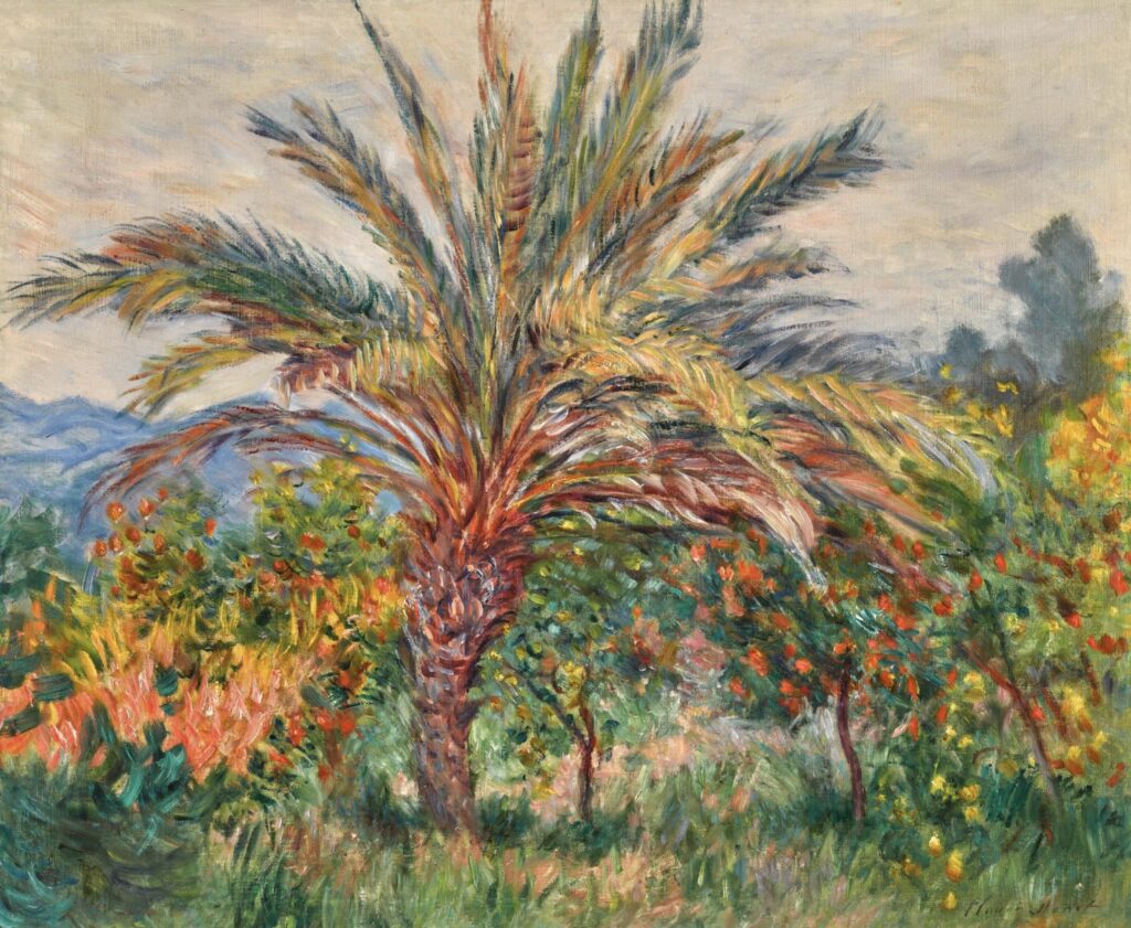 Palmier à Bordighera par Claude Monet