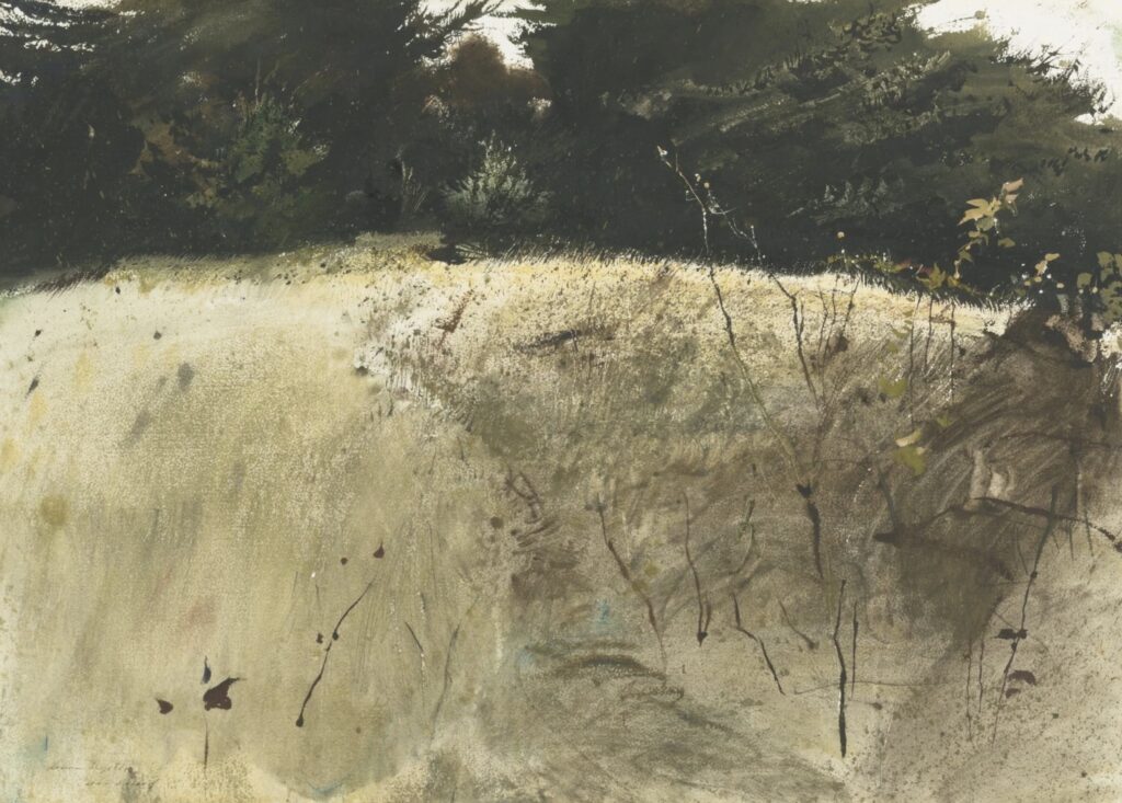 Herbes d’automne par Andrew Wyeth