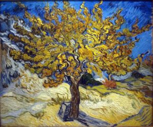 Le mûrier par Vincent van Gogh