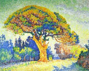 Pin à Saint-Tropez par Paul Signac