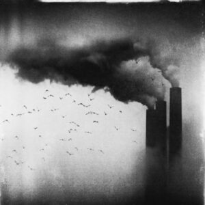 Photo de Zewar Fadhil