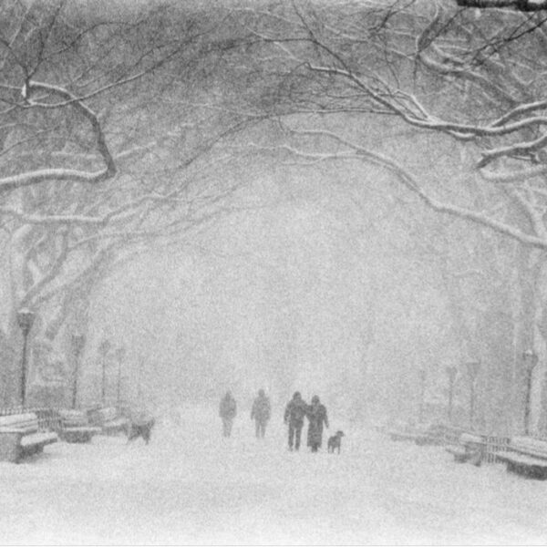 Central Park, New-York, photo de Bruce Davidson