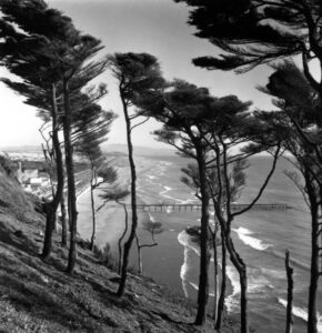 Littoral de San Francisco , photo d'Imogen Cunningham