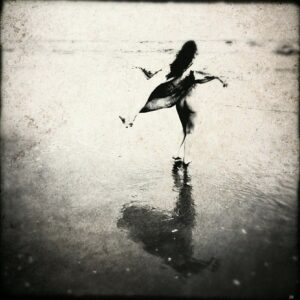 Photo de Judith in den Bosch
