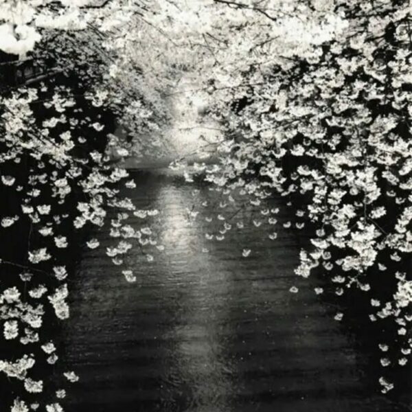 Photo de Masao Yamamoto