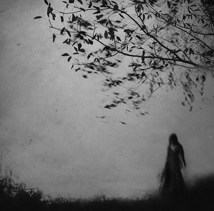 Photo d'Ana Markovic